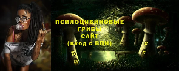 мет Балахна