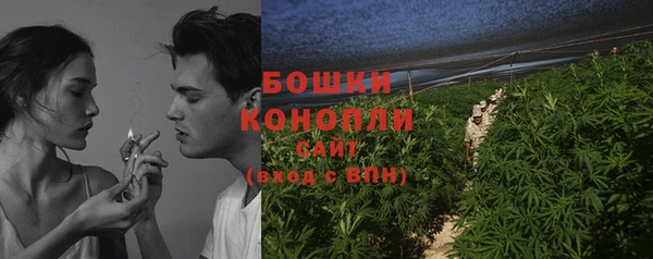 ПСИЛОЦИБИНОВЫЕ ГРИБЫ Баксан