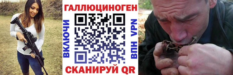 mega сайт  Урай  Псилоцибиновые грибы Cubensis 